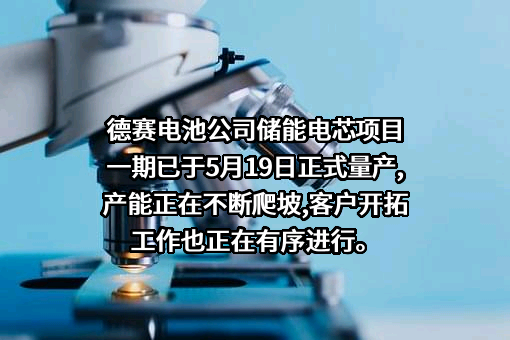 深圳市德赛电池科技股份有限公司