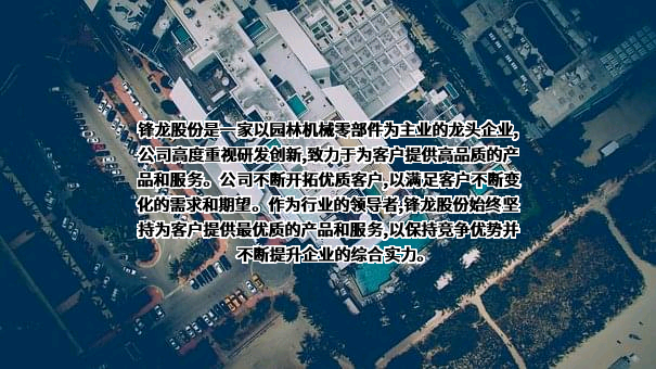 浙江锋龙电气股份有限公司