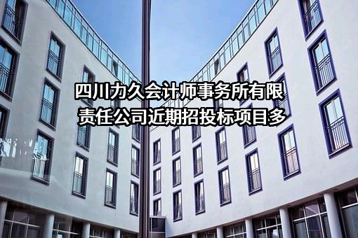 四川力久会计师事务所有限责任公司