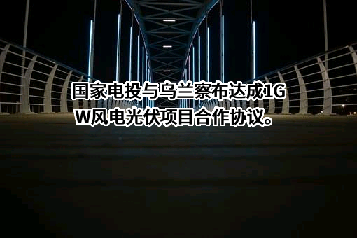 国家电力投资集团有限公司