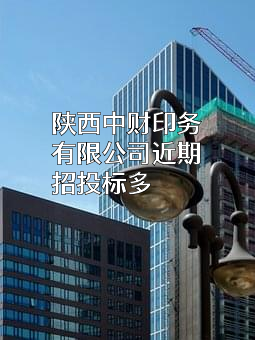 陕西中财印务有限公司