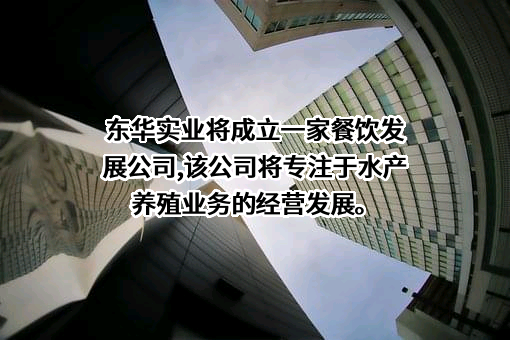 淮南东华实业（集团）有限责任公司