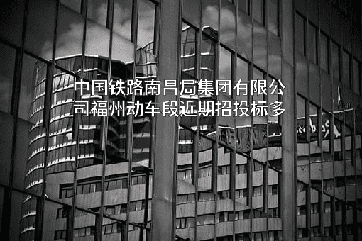 中国铁路南昌局集团有限公司福州动车段
