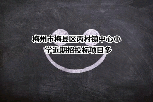 梅州市梅县区丙村镇中心小学近期招投标项目多