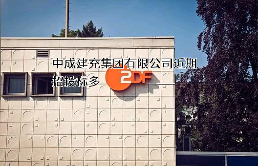 中成建充集团有限公司