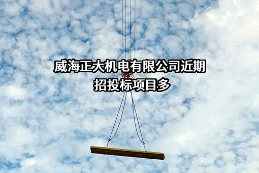威海正大机电有限公司