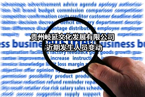 贵州岐延文化发展有限公司