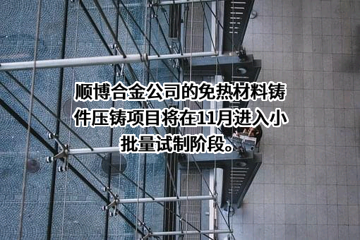重庆顺博铝合金股份有限公司