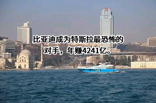比亚迪股份有限公司