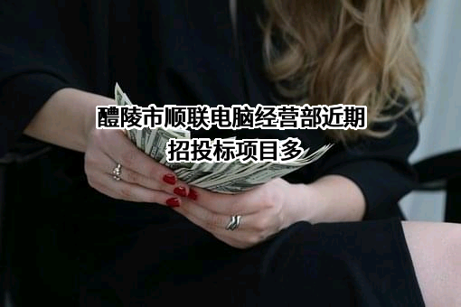 醴陵市顺联电脑经营部近期招投标项目多