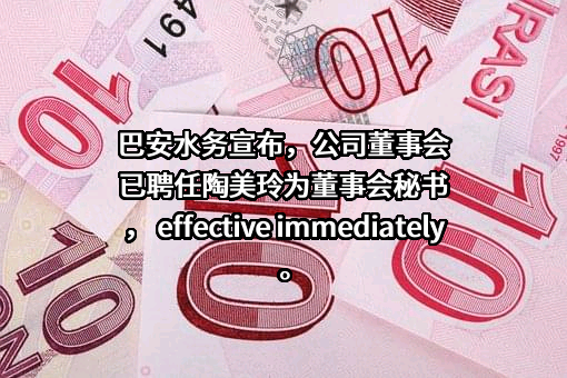 上海巴安水务股份有限公司