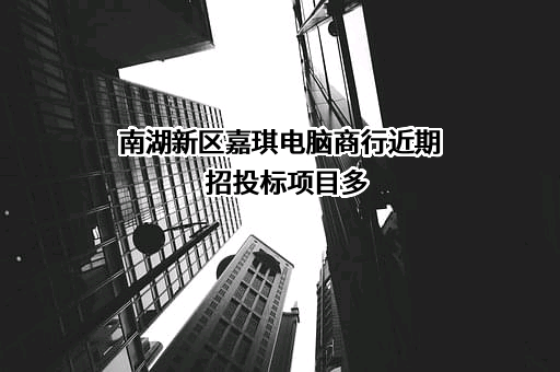 南湖新区嘉琪电脑商行近期招投标项目多