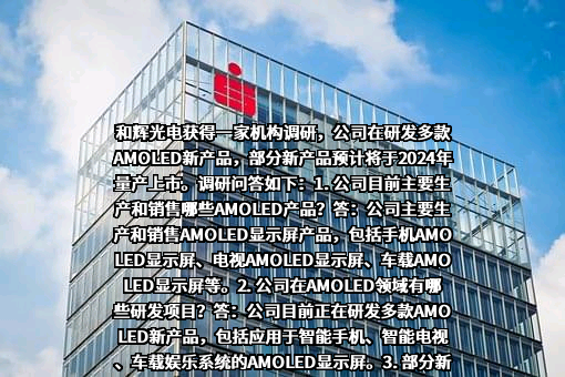 上海和辉光电股份有限公司