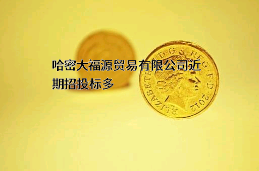 哈密大福源贸易有限公司