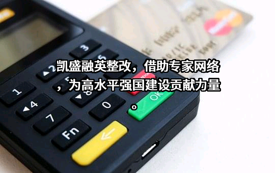 凯盛融英信息科技（上海）股份有限公司