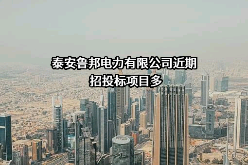 泰安鲁邦电力有限公司