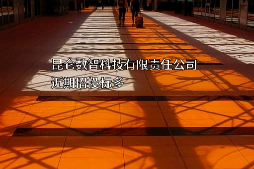 昆仑数智科技有限责任公司