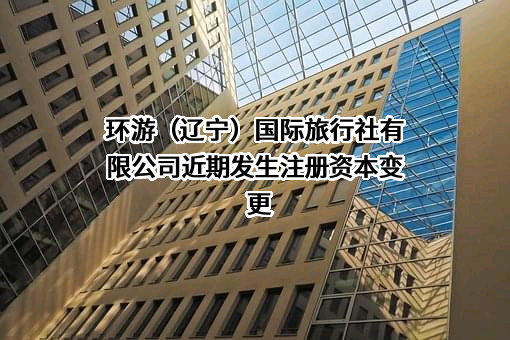 环游（辽宁）国际旅行社有限公司
