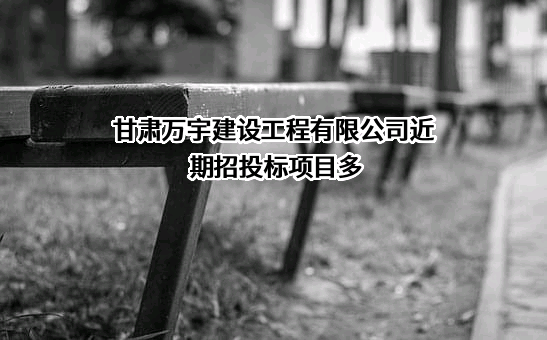 甘肃万宇建设工程有限公司
