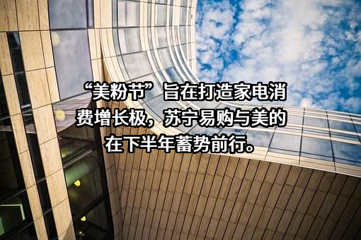 苏宁易购集团股份有限公司