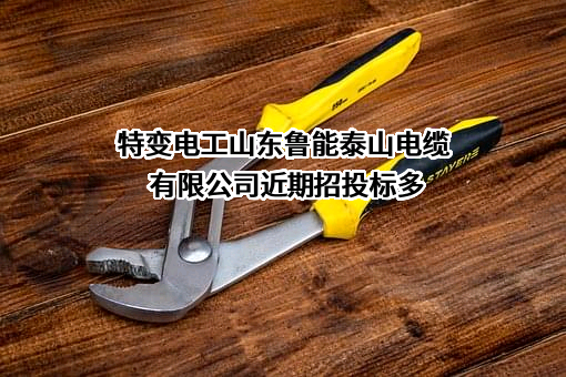 特变电工山东鲁能泰山电缆有限公司近期招投标项目多