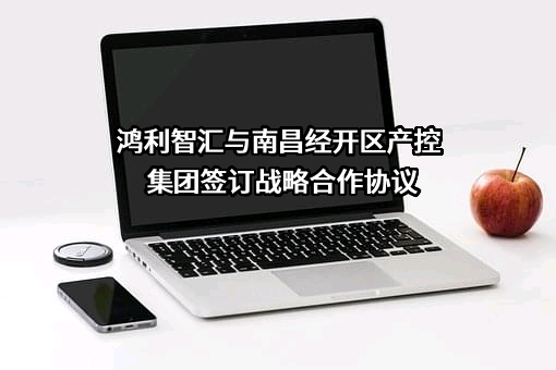 鸿利智汇集团股份有限公司