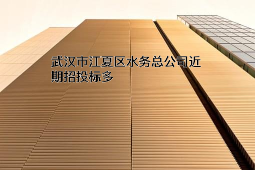 武汉市江夏区水务总公司