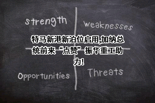 上海振华重工（集团）股份有限公司
