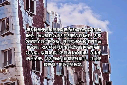 华为技术有限公司