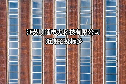 江苏顺通电力科技有限公司