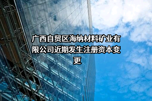 广西自贸区海纳材料矿业有限公司