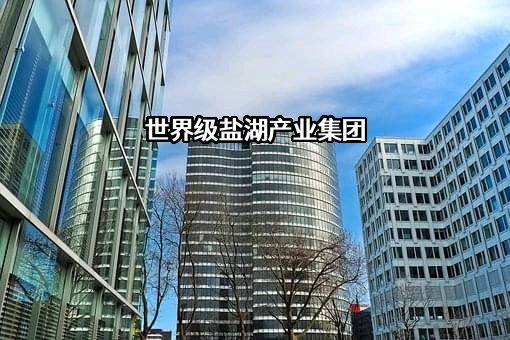 青海省国有资产投资管理有限公司