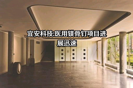 东莞宜安科技股份有限公司