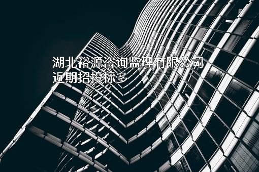 湖北裕源咨询监理有限公司