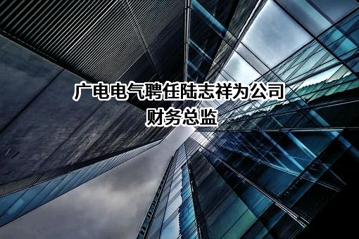 上海广电电气（集团）股份有限公司