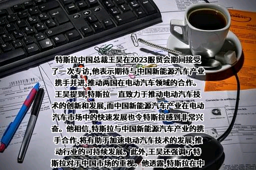 特斯拉（上海）有限公司
