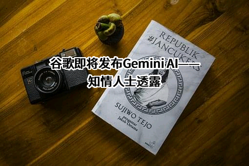 谷歌信息技术（中国）有限公司
