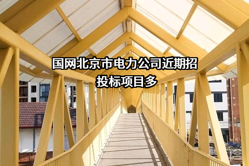 国网北京市电力公司