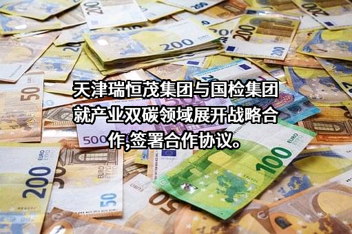 天津市瑞恒茂科技发展集团有限公司
