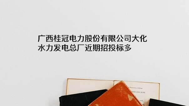 广西桂冠电力股份有限公司大化水力发电总厂