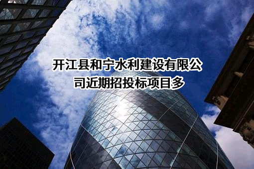 开江县和宁水利建设有限公司近期招投标项目多