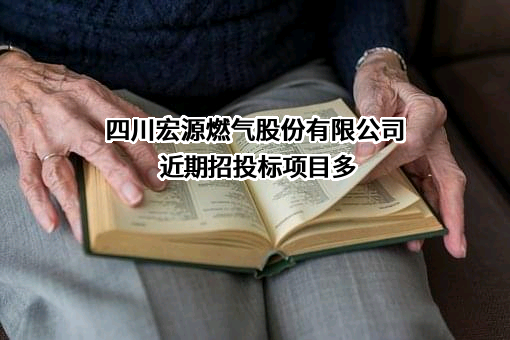 四川宏源燃气股份有限公司
