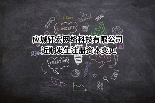 应城轩宏网络科技有限公司