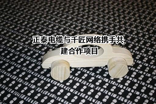 上海千匠网络科技有限公司