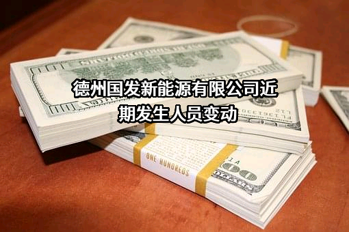 德州国发新能源有限公司
