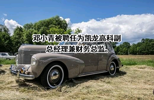 凯龙高科技股份有限公司