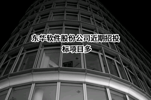 东华软件股份公司