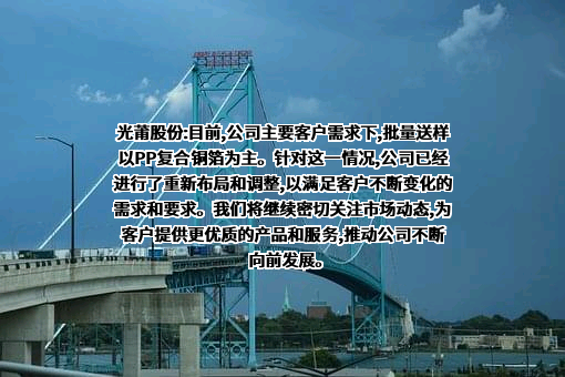 厦门光莆电子股份有限公司