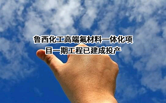 鲁西化工集团股份有限公司