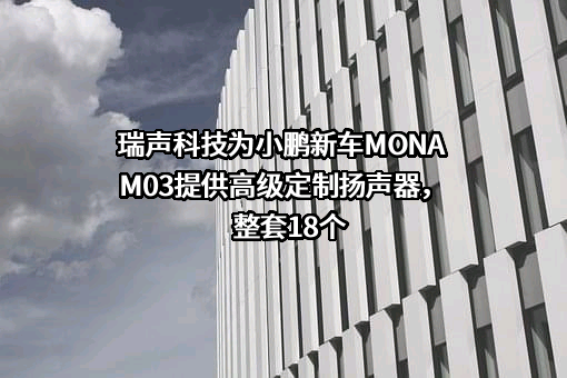 瑞声科技控股股份有限公司